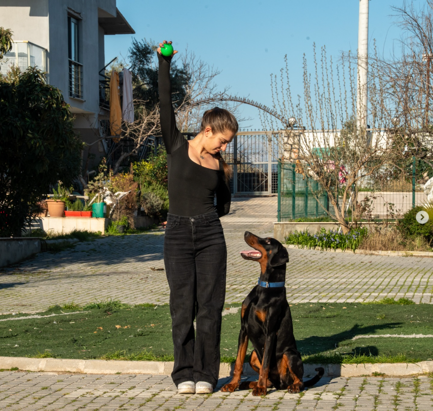 Asena Semanur Akpınar — Eğitmen